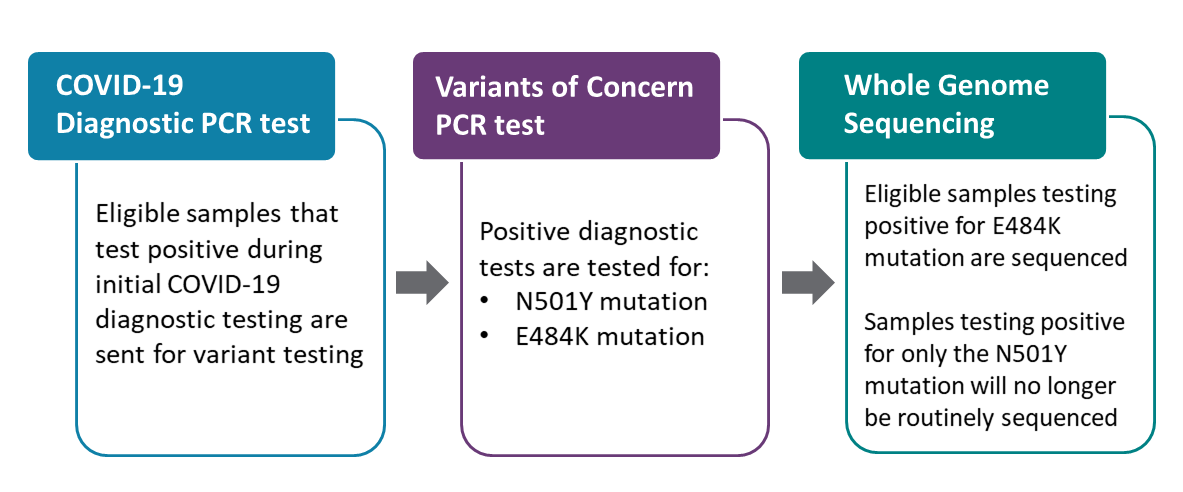 Flow diagram showing the changes in variant testing. 1. COVID-19 diagnostic PCR testing: Eligible samples that test positive during initial COVID-19 diagnostic testing are sent for variant testing; 2. Variants of Concern PCR test: Positive diagnostic tests are tested for N501Y mutation and E484K mutation; 3. Whole Genome Sequencing: Eligible samples testing positive for E484K mutation are sequenced. Samples testing positive for only the N501Y mutation will no longer be routinely sequenced.