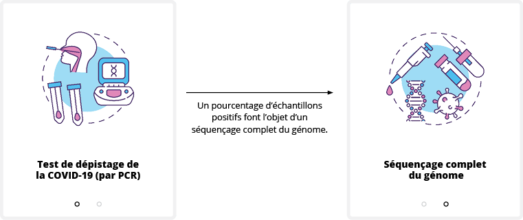 L'image montre le processus de séquençage du génome entier du COVID-19