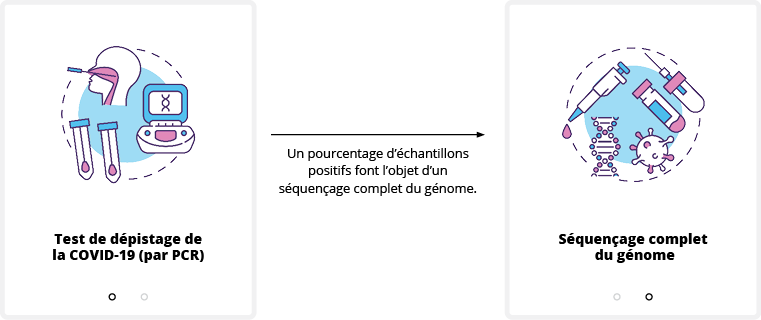 L'image montre le processus de séquençage du génome entier du COVID-19