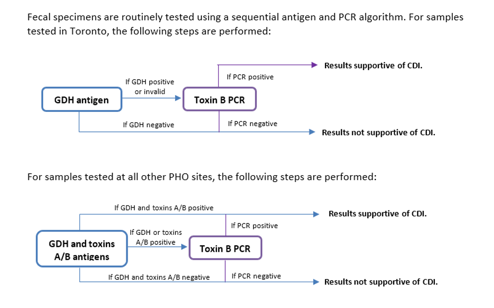 Stool specimens are tested using a sequential antigen and PCR algorithm. For 