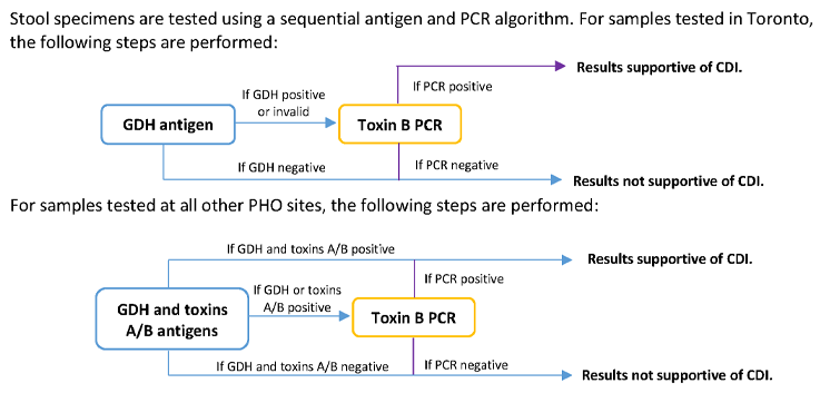 Stool specimens are tested using a sequential antigen and PCR algorithm. For 