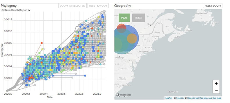 This image shows a phylogenic (evolutionary) tree and a map of SARS-CoV-2 sequences in Ontario. It is a screen shot from the Nextstrain tool to show an example of what the tool looks like.