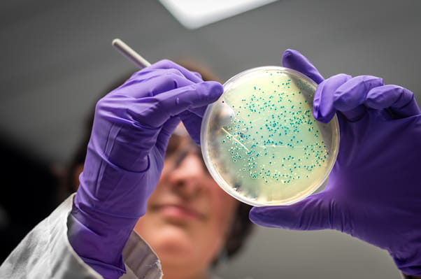 Infection Control Routine Practices Investigation Highlights How a 2024 Listeria Outbreak In Canada Was ...